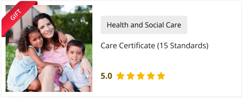 Care Certificate (15 Standards) Free Course included