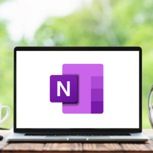 Learn the Basics of Microsoft OneNote