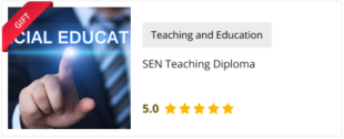 Complete Teaching Assistant Diploma Level 3 (TA, SEN, Autism, ADHD ...