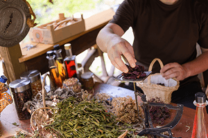 Level 5 Diploma in Master Herbalist Course Image 2