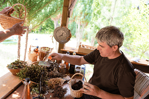 Level 5 Diploma in Master Herbalist Course Image 3