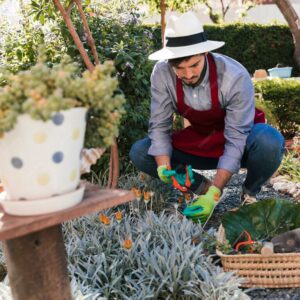 Gardening and Horticulture Level 5 Diploma