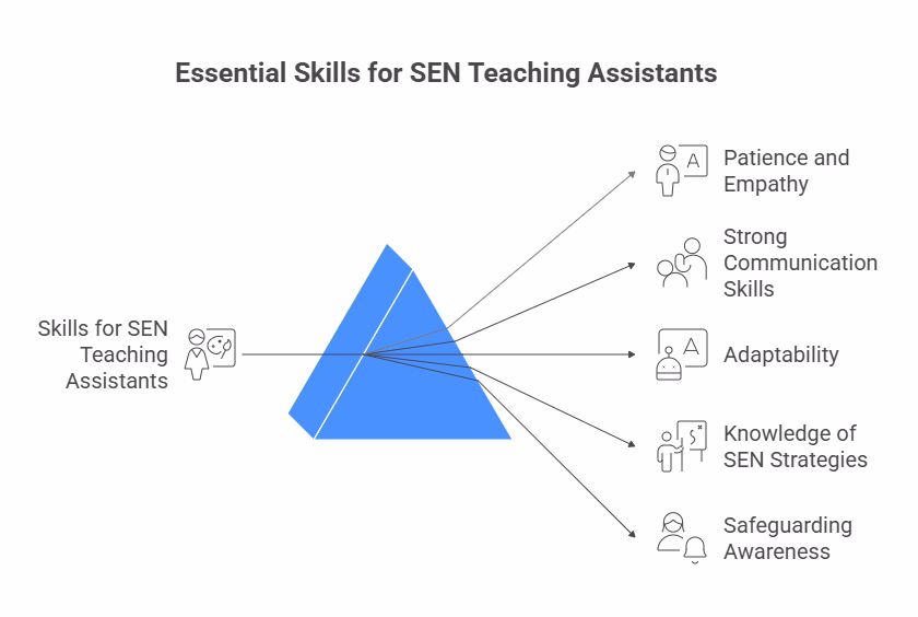 Skills You’ll Need as an SEN TA