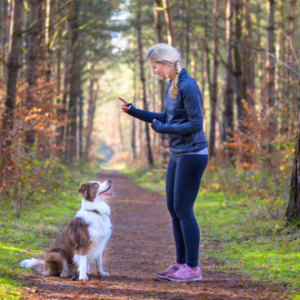 Dog Training Job Ready Programme with Money Back Guarantee