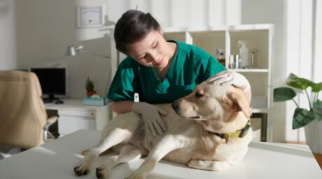 The Course Thumbnail