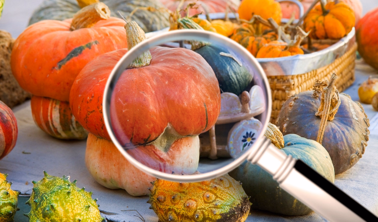 The 7 Principles of HACCP Explained with Examples