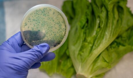 Cross-Contamination in Food: Risks and Prevention