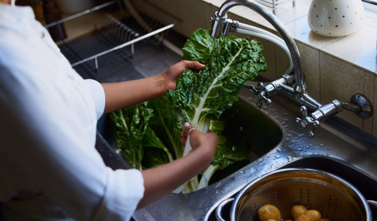 The Role of HACCP in Preventing Foodborne Illness