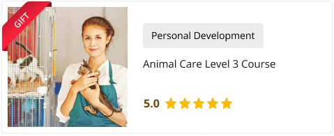 Animal Care Level 3 Course free Course included