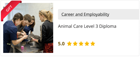 Animal Care Level 3 Diploma
