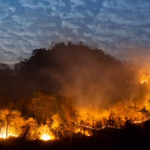 Fire Risk Assessment