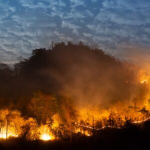 Fire Risk Assessment