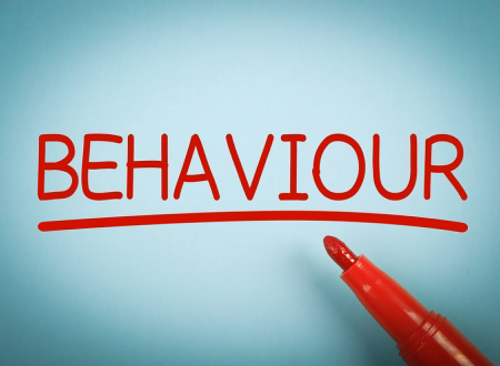 Behavioural Safety