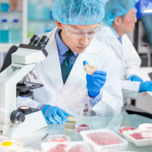 Food Safety & Quality Assurance in Food Production