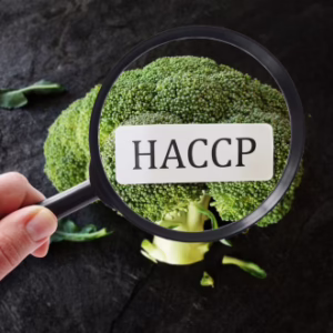 Level 3 HACCP for Catering