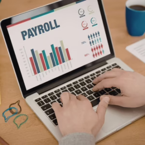 Diploma in Payroll Administrator Level 5