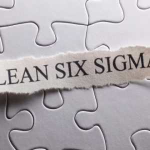 Six Sigma & Lean Process Level 3 Certificate