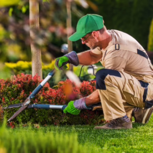 Gardening and Landscaping